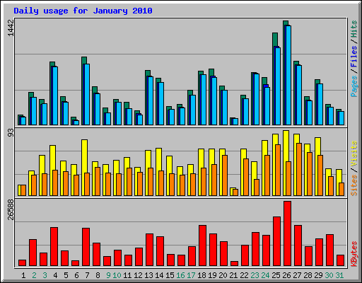 Daily usage for January 2010
