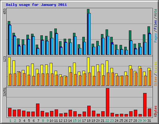Daily usage for January 2011