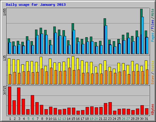Daily usage for January 2013