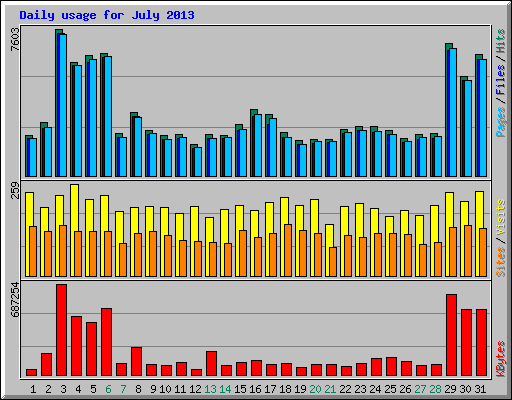 Daily usage for July 2013