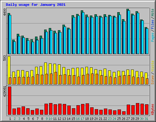 Daily usage for January 2021