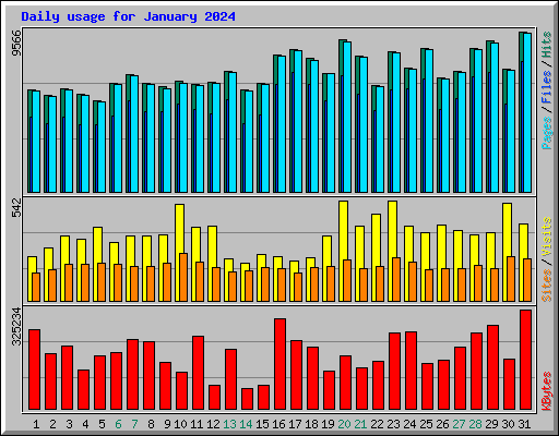 Daily usage for January 2024