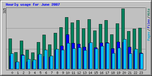 Hourly usage for June 2007