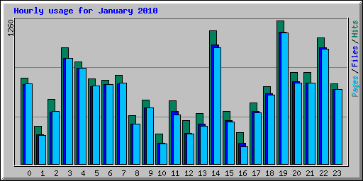 Hourly usage for January 2010