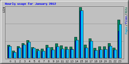 Hourly usage for January 2012