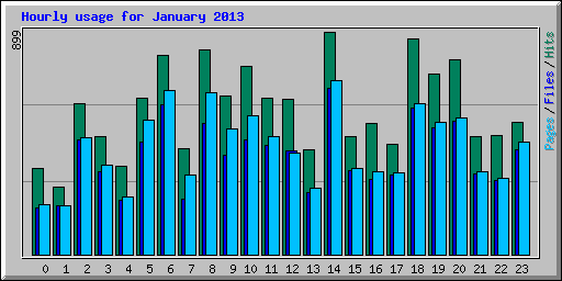 Hourly usage for January 2013