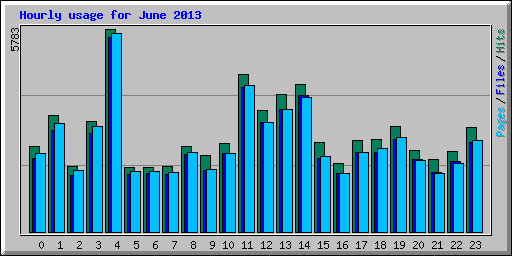 Hourly usage for June 2013