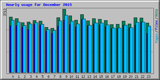 Hourly usage for December 2015