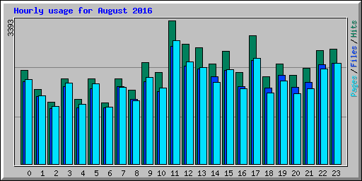 Hourly usage for August 2016