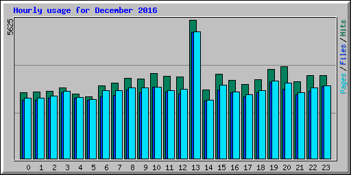 Hourly usage for December 2016