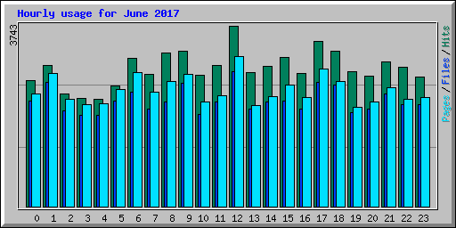 Hourly usage for June 2017