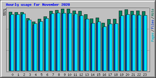Hourly usage for November 2020