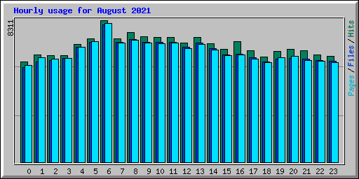Hourly usage for August 2021