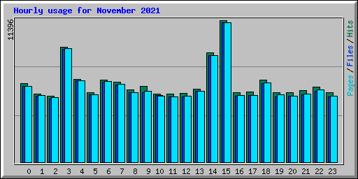 Hourly usage for November 2021