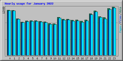 Hourly usage for January 2022