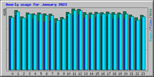 Hourly usage for January 2023