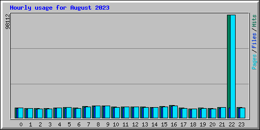 Hourly usage for August 2023