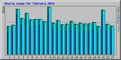 Hourly usage for February 2024