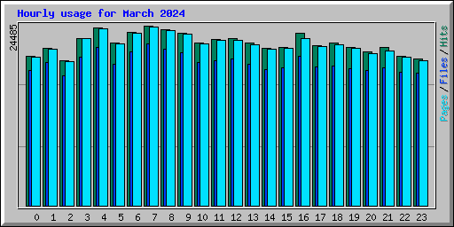 Hourly usage for March 2024