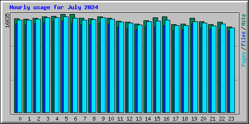 Hourly usage for July 2024