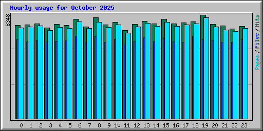 Hourly usage for October 2025