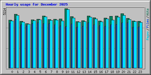 Hourly usage for December 2025